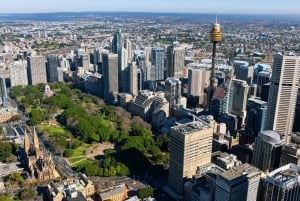 Sydney Tower Eye: Indgang med observationsdæk