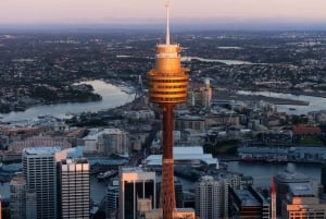 Sydney Tower Eye: Indgang med observationsdæk