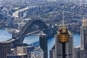 Sydney Tower Eye: Indgang med observationsdæk