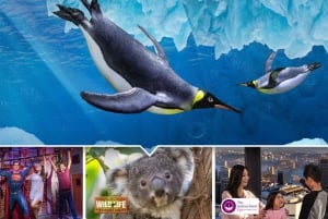 Sydney: Ultieme stadspas voor 5 attracties met Skywalk