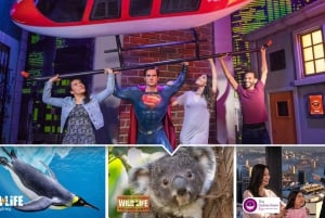 Sydney: Ultieme stadspas voor 5 attracties met Skywalk