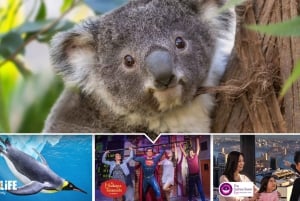Sydney: Ultieme stadspas voor 5 attracties met Skywalk