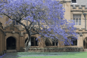 Sydney: Studerende-ledet byvandring på University of Sydney