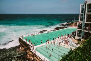 Sydney: VIP Cricket Ground Tour och Bondi Beach Experience