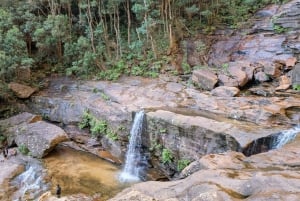 Sydney: Waterfall Bushwalk and Blue Mountain Sunset Day Trip