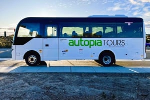 Sydney: Waterfall Bushwalk and Blue Mountain Sunset Day Trip