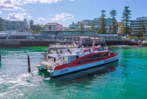 シドニー：クジラウォッチング＆ホップオンホップオフクルーズパッケージ