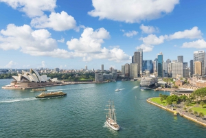 Hvalsafari i Sydney og cruise i Taronga Zoo