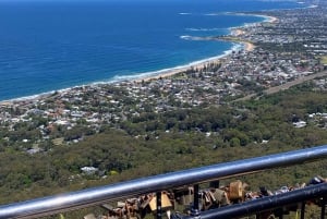 Sydney: Opplevelse av ville wombats og kenguruer