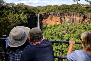 Sydney : Visite en petit groupe de la faune, des chutes d'eau et du vin