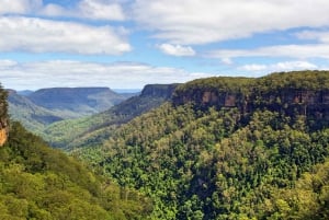 Sydney: Wildlife, Waterfalls and Wine Small Group Tour