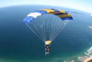 Sydney, Wollongong: salto en paracaídas tándem desde una playa de 15.000 pies