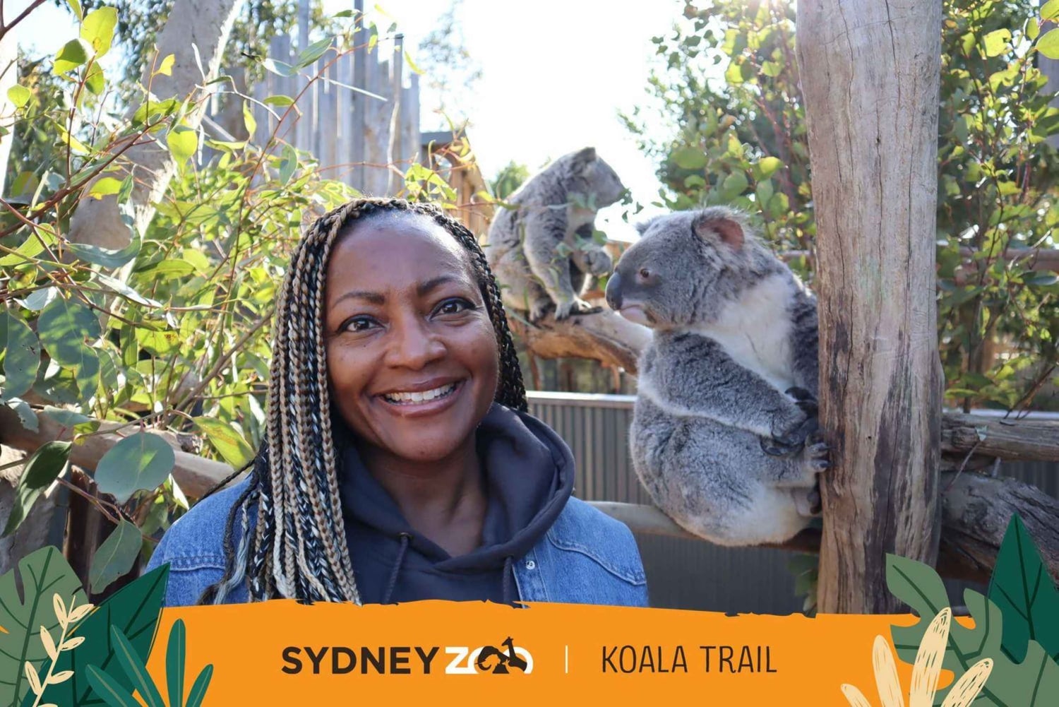 Sydney : Zoo, Blue Mountains et Scenic World Circuit en mandarin