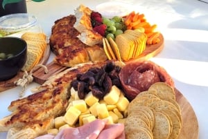 Sydneys første hundevennlige havnekryssning: Hunder på dekk