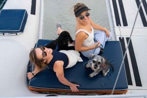 Sydneys første hundevennlige havnekryssning: Hunder på dekk