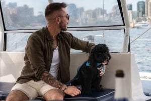 Sydneys første hundevennlige havnekryssning: Hunder på dekk