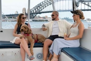 Sydneys første hundevennlige havnekryssning: Hunder på dekk