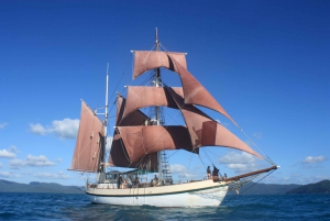 Déjeuner-croisière en grand voilier à bord du Coral Trekker