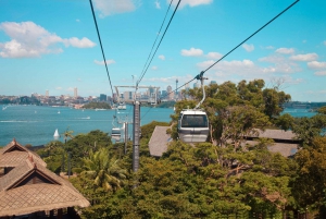 Sydney: Taronga Zoo Tickets