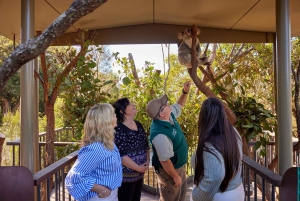 Зоопарк Таронга в Сиднее — дикая Австралия