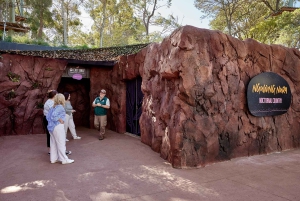 Зоопарк Таронга в Сиднее — дикая Австралия