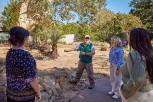 Зоопарк Таронга в Сиднее — дикая Австралия