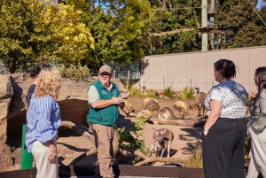 Зоопарк Таронга в Сиднее — дикая Австралия