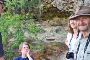 Insider-tur for små grupper til Blue Mountains