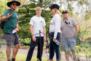 Excursão a pé pela comida e cultura australianas em Sydney (almoço e vinho)