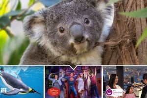 Ultimate Sydney Attractions Pass with Sydney Tower Skywalk