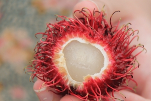 Tour gastronomico vietnamita con guida locale