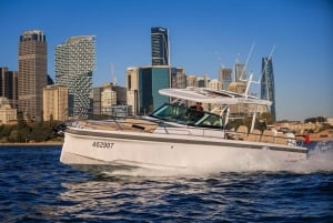 Sydney: VIVID Private Luxury Cruise