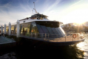 Sydney: Vivid Sydney Harbor Cruise med buffémiddag