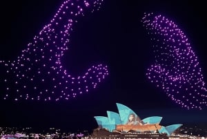 Vivid Sydney Cruises 2025