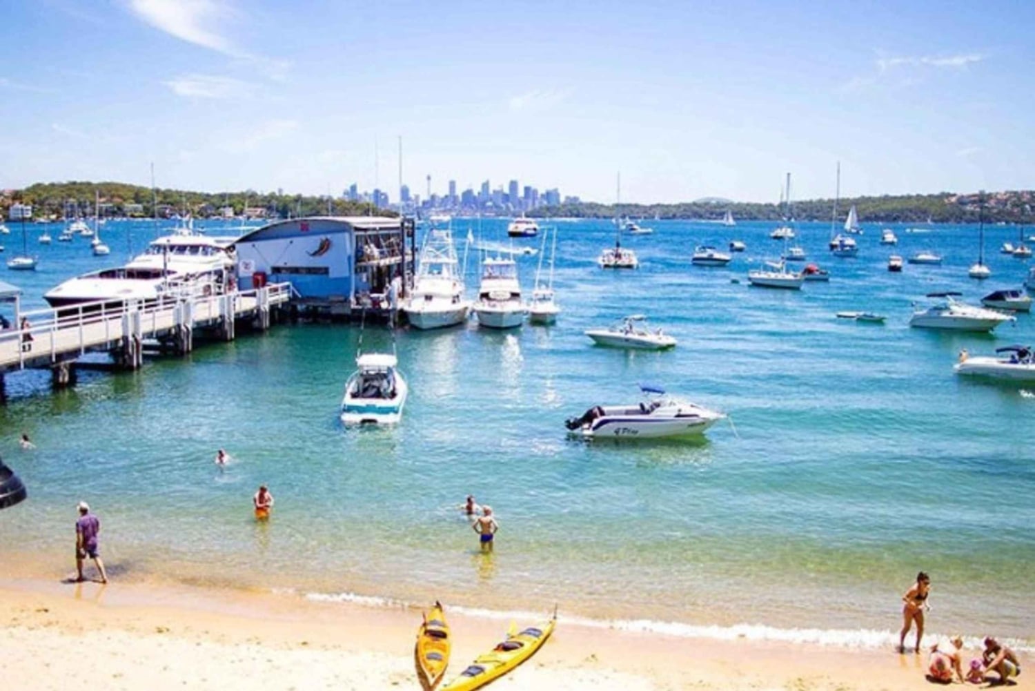 Watsons Bay: Stand-up-Paddling im Hafen von Sydney