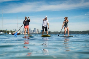 Watsons Bay: Stand Up Paddling-oplevelse i Sydney Harbour