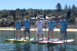 Watsons Bay: Stand Up Paddling-oplevelse i Sydney Harbour