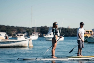 Watsons Bay: Stand Up Paddling-oplevelse i Sydney Harbour