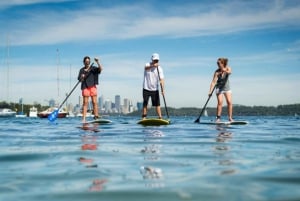 Watsons Bay: Stand-up-Paddling im Hafen von Sydney