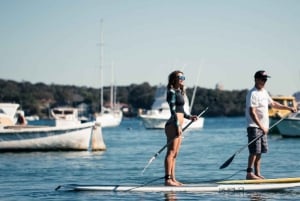 Watsons Bay: Stand-up-Paddling im Hafen von Sydney