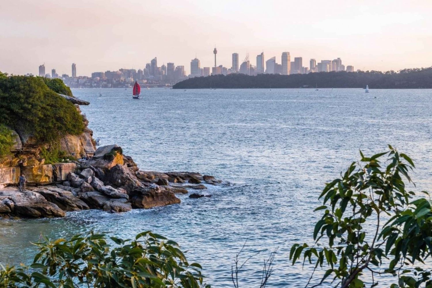 Sydney: Passeio a pé por Watsons Bay com almoço e café
