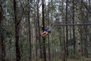 Western Sydney: Zipcoaster Experience