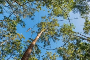 Western Sydney: Zipcoaster Experience