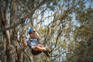 Western Sydney: Zipcoaster Experience