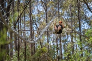 Western Sydney: Zipcoaster Experience