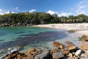 Wet & Dry Manly from Sydney