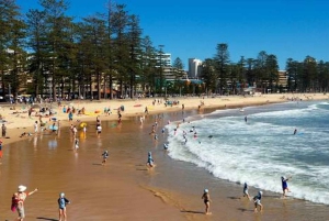 Wet & Dry Manly from Sydney