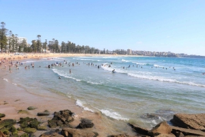 Wet & Dry Manly from Sydney