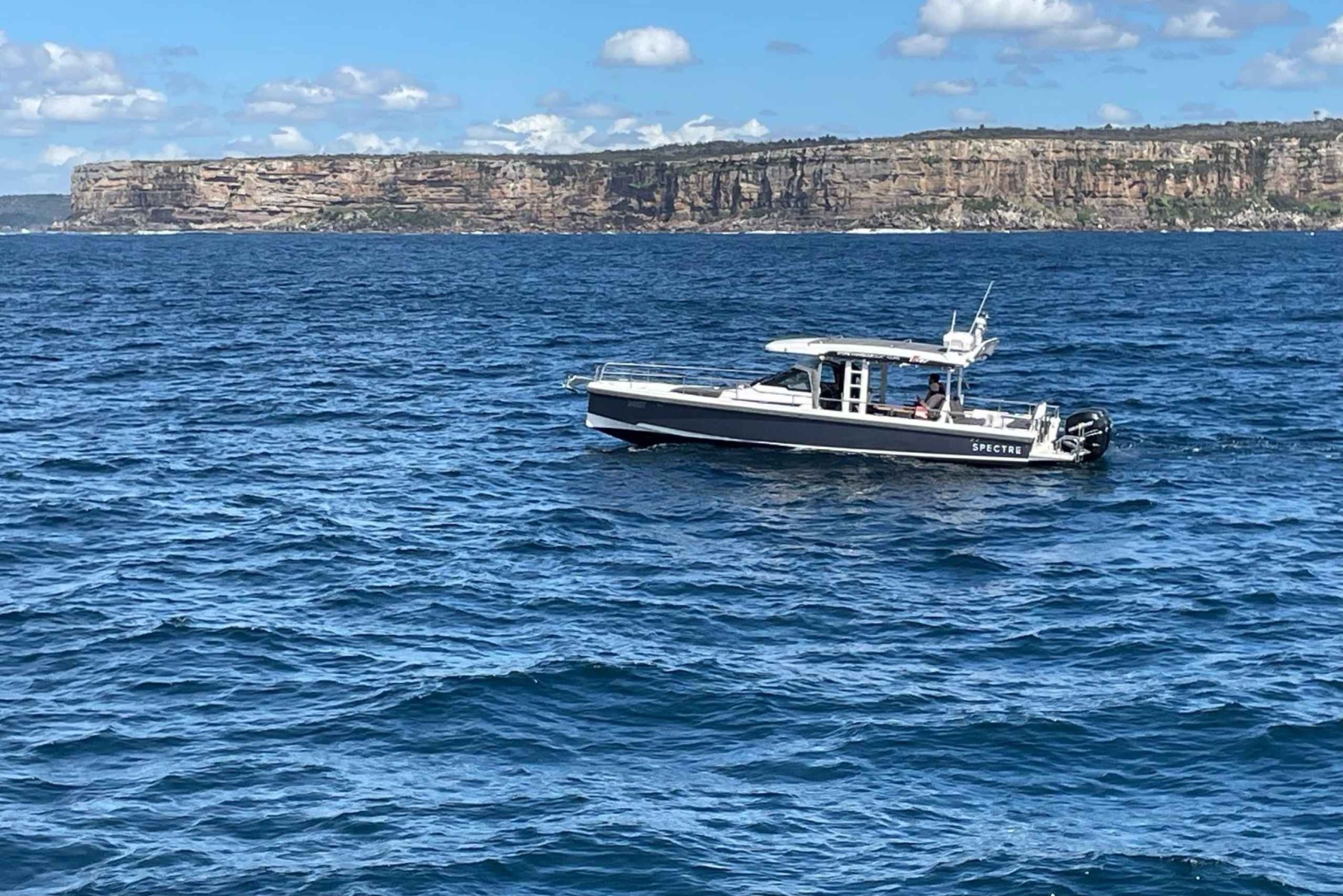 Whales of Sydney Sea Safari - Yksityinen