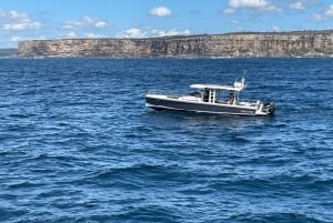 Whales of Sydney Sea Safari - Yksityinen